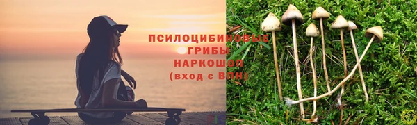 кокаин колумбия Алексин